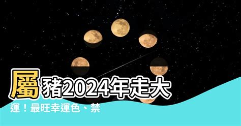 2024年屬豬|屬豬2024運勢丨屬豬增運顏色、開運飾物、犯太歲化解、年份